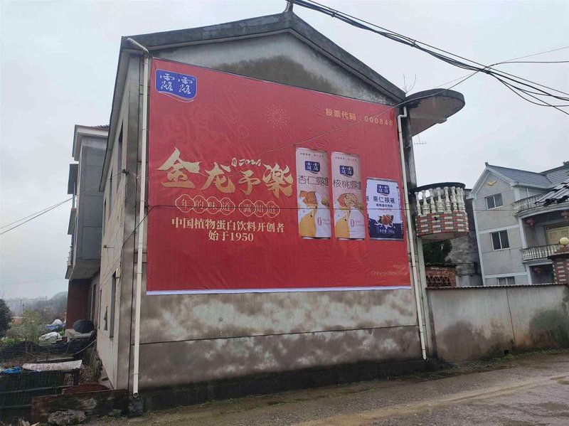 品牌策划:塑造企业的独特风华